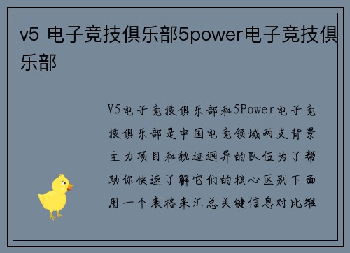 v5 电子竞技俱乐部5power电子竞技俱乐部